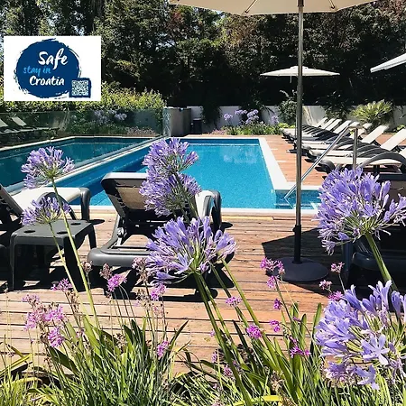 Oasis Life سبليت