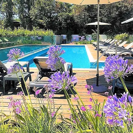 فندق مبيت وإفطار Oasis Life